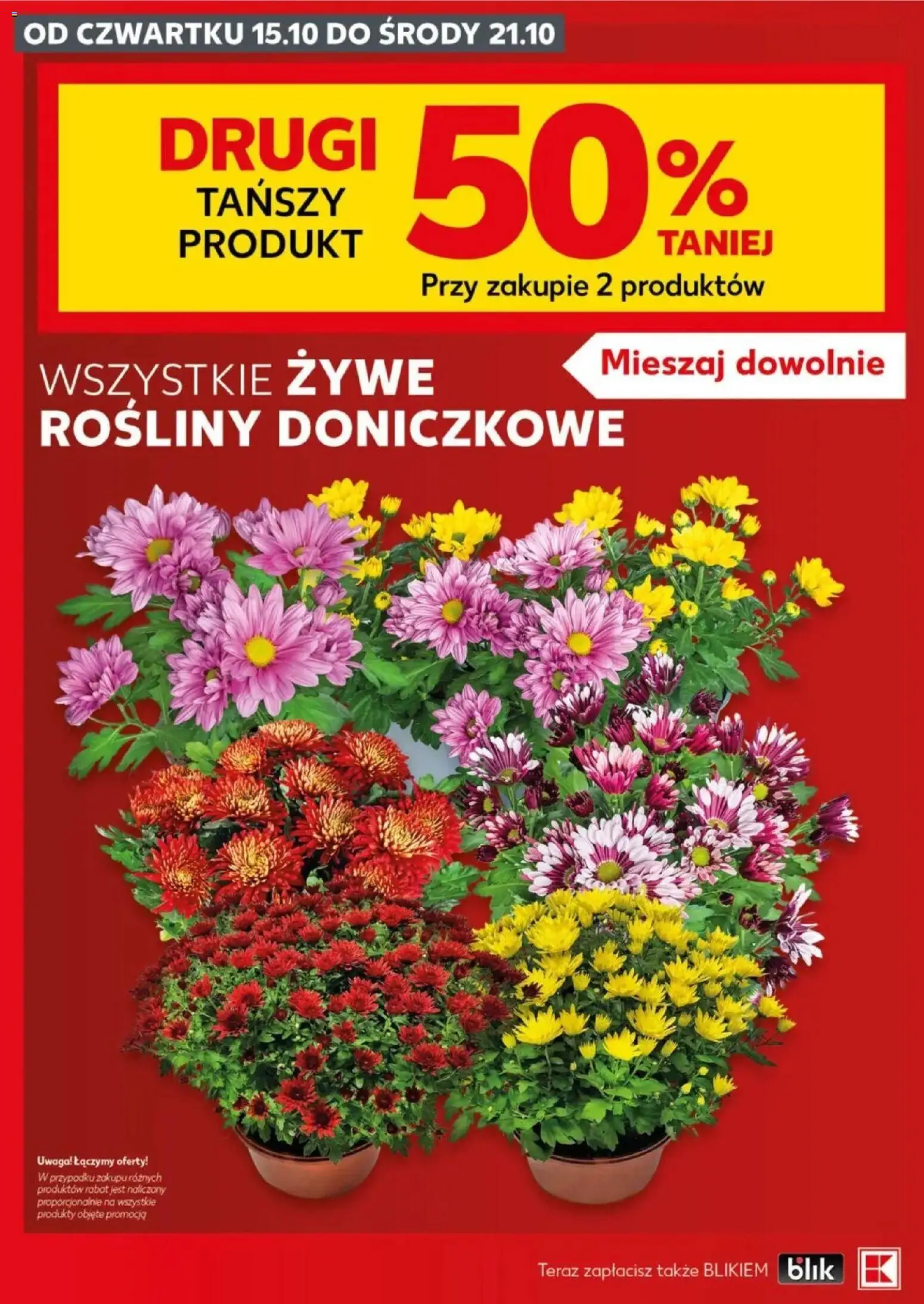 Kaufland gazetka - Znicze od 15.10.2026 - od jutra PDF | Strona: 18 | Produkty: Rośliny doniczkowe, Rosliny