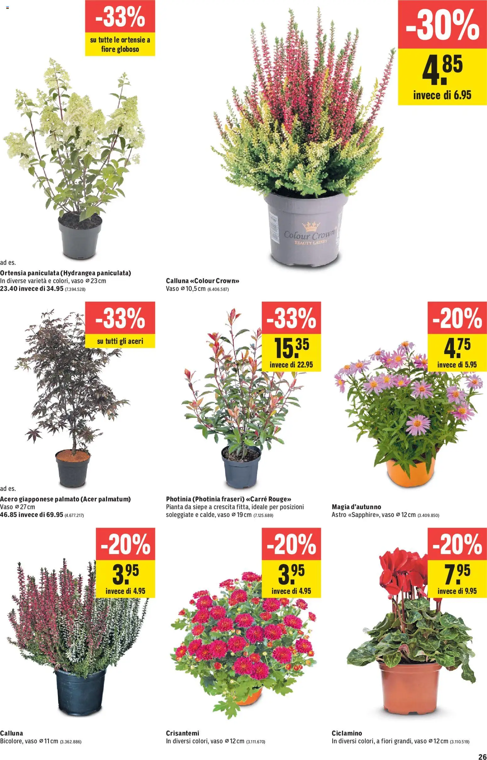 Jumbo aktionen IT – gültig ab 10.09.2026 | Seite: 26