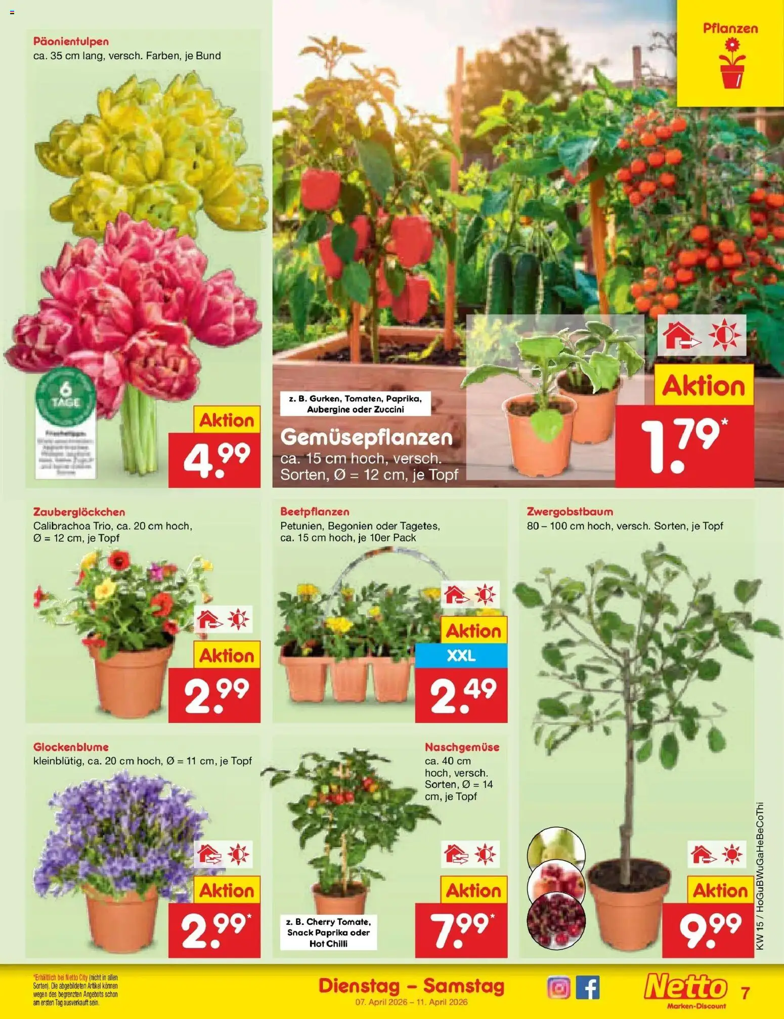 Netto Marken-Discount Prospekt Hamburg	 – gültig ab 07.04.2026 | Seite: 9 | Produkte: Paprika, Aubergine