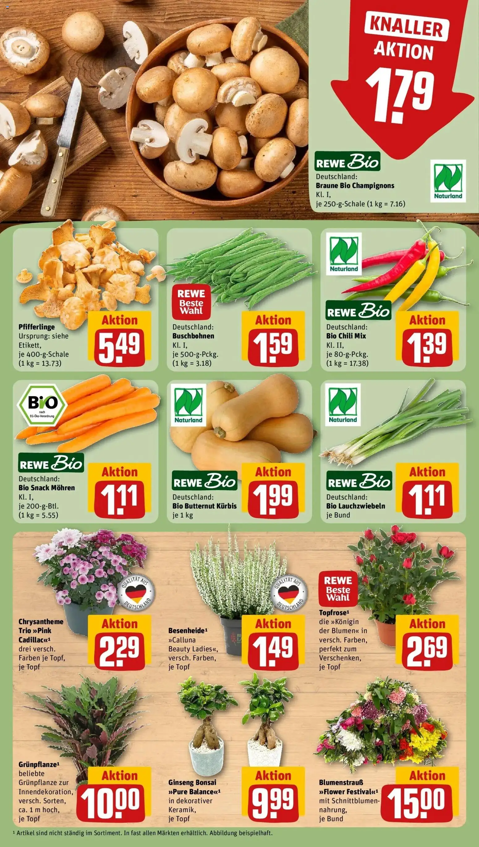 REWE Prospekt ab 31.08.2026 zum Blättern » Angebote | Seite: 7 | Produkte: Blumen, Mohren, Champignons, Chili