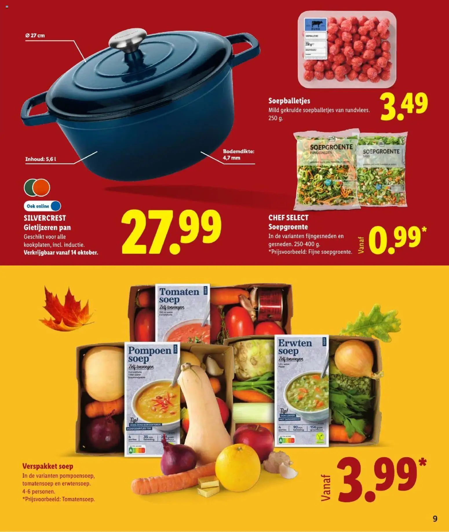 {H1} | Pagina: 9 | Producten: Pompoen, Pot, Pan, Gietijzeren pan