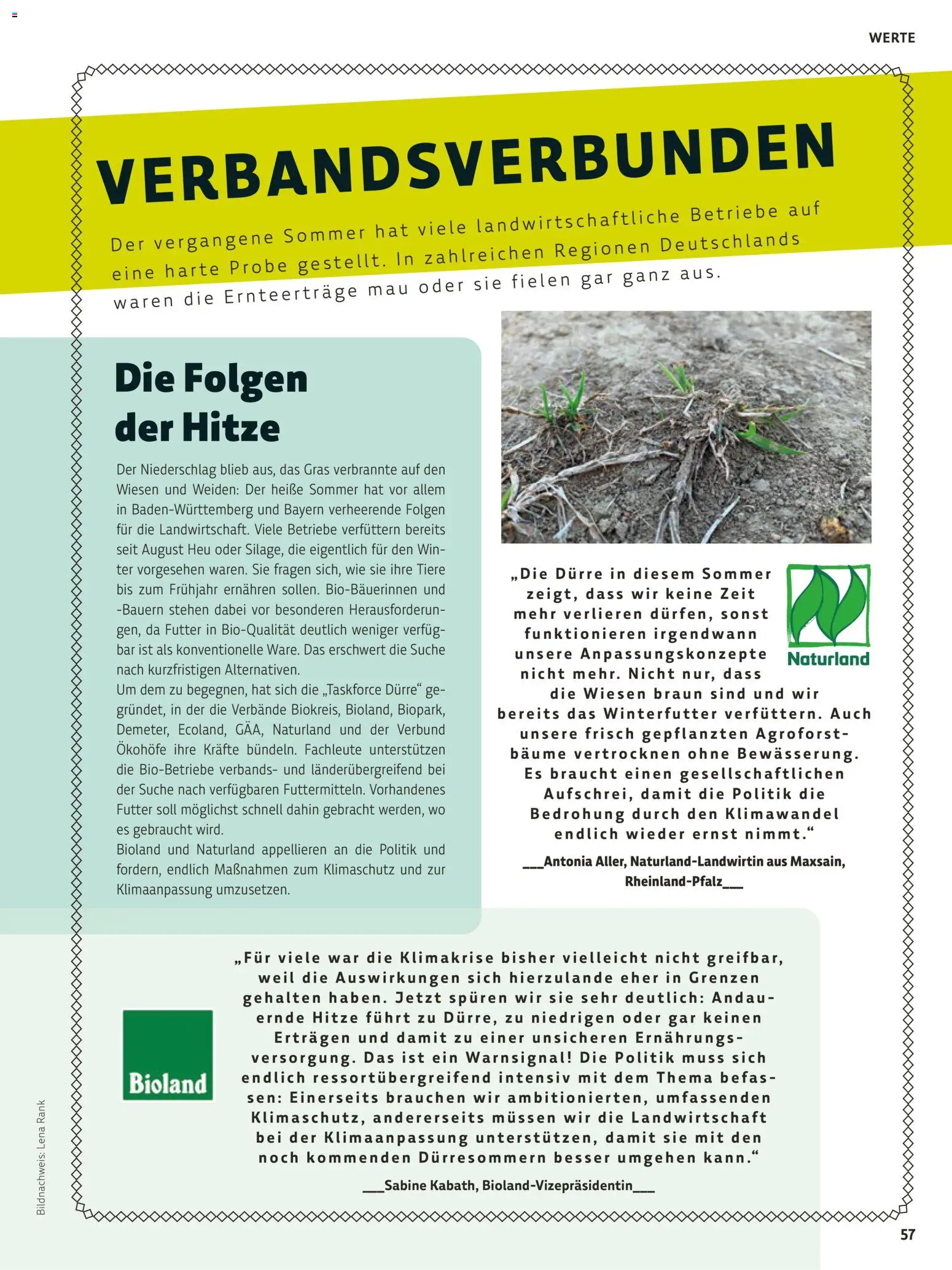 BioMarkt Kreo Magazin – gültig ab 26.10.2026 | Seite: 57