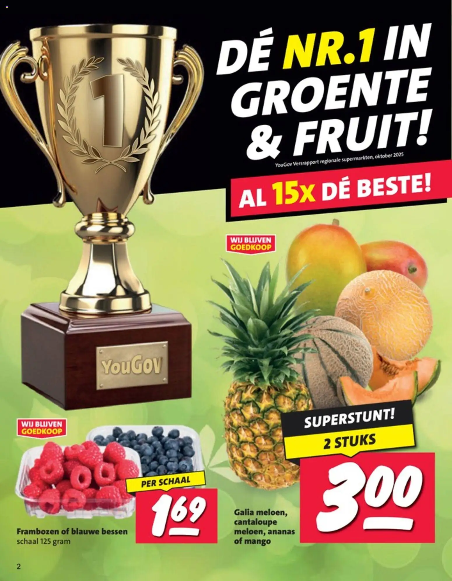 {H1} | Pagina: 2 | Producten: Ananas, Schaal, Mango, Frambozen
