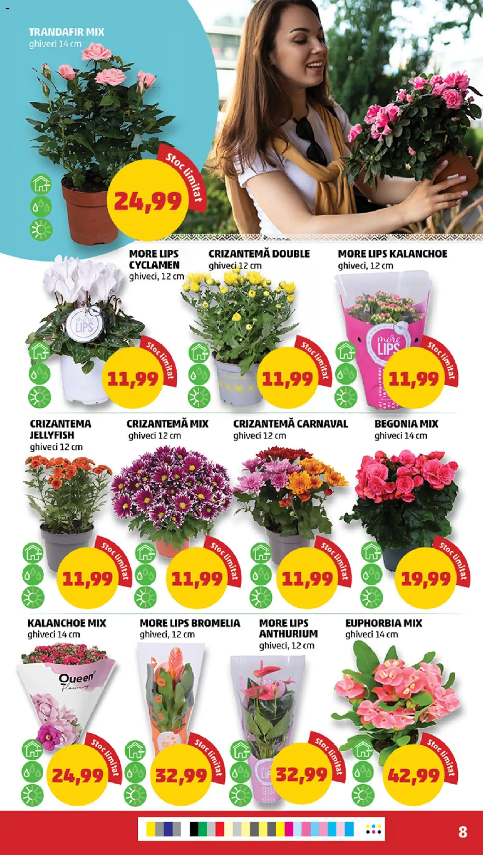 Noul catalog PENNY – valabil de la 12.08.2026 | Pagină: 8