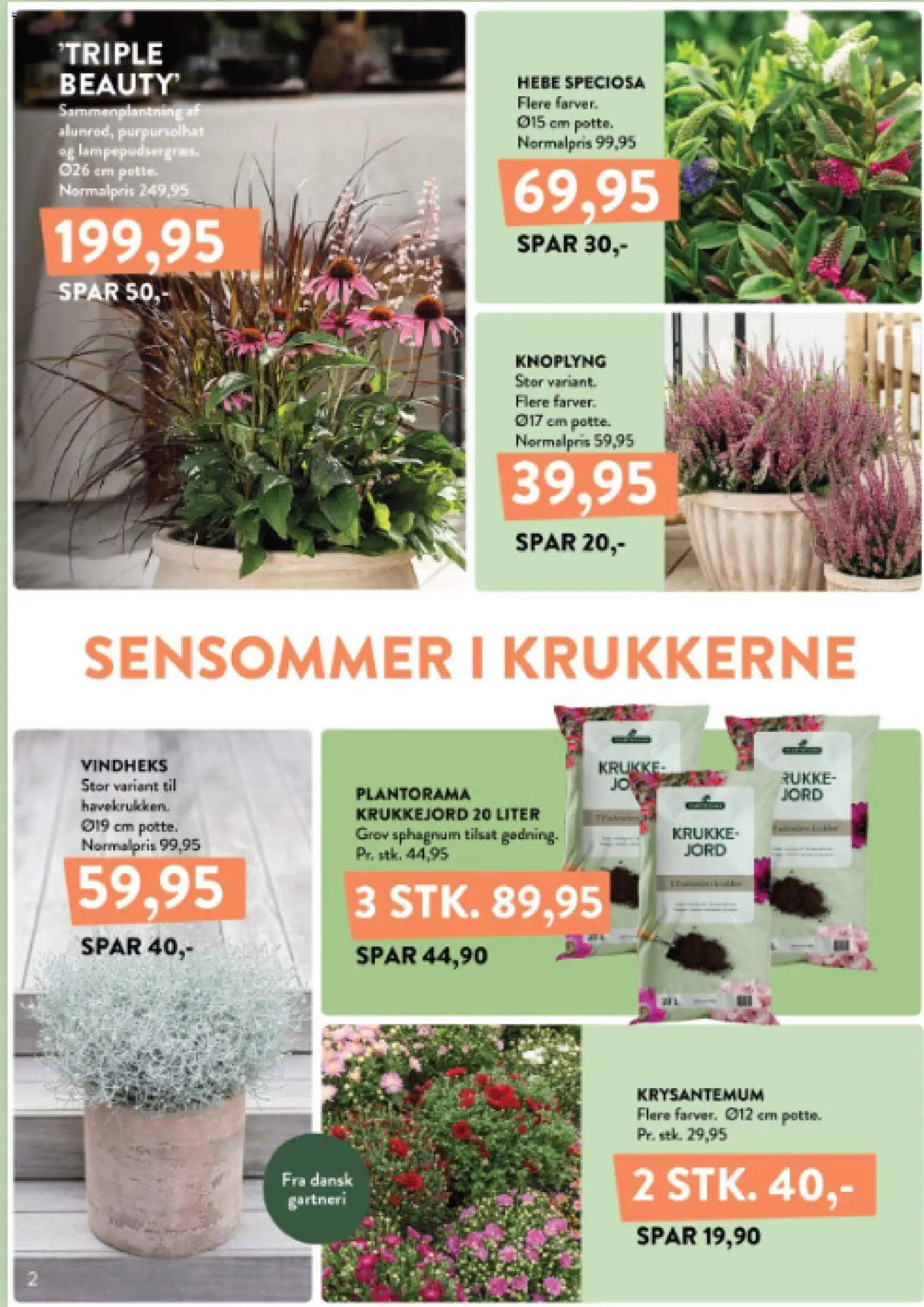 Plantorama tilbudsavis – gyldig fra 04/09/2026 | Side: 2 | Produkter: Krukke