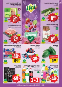IKI leidinys galioja nuo 15.06.2026