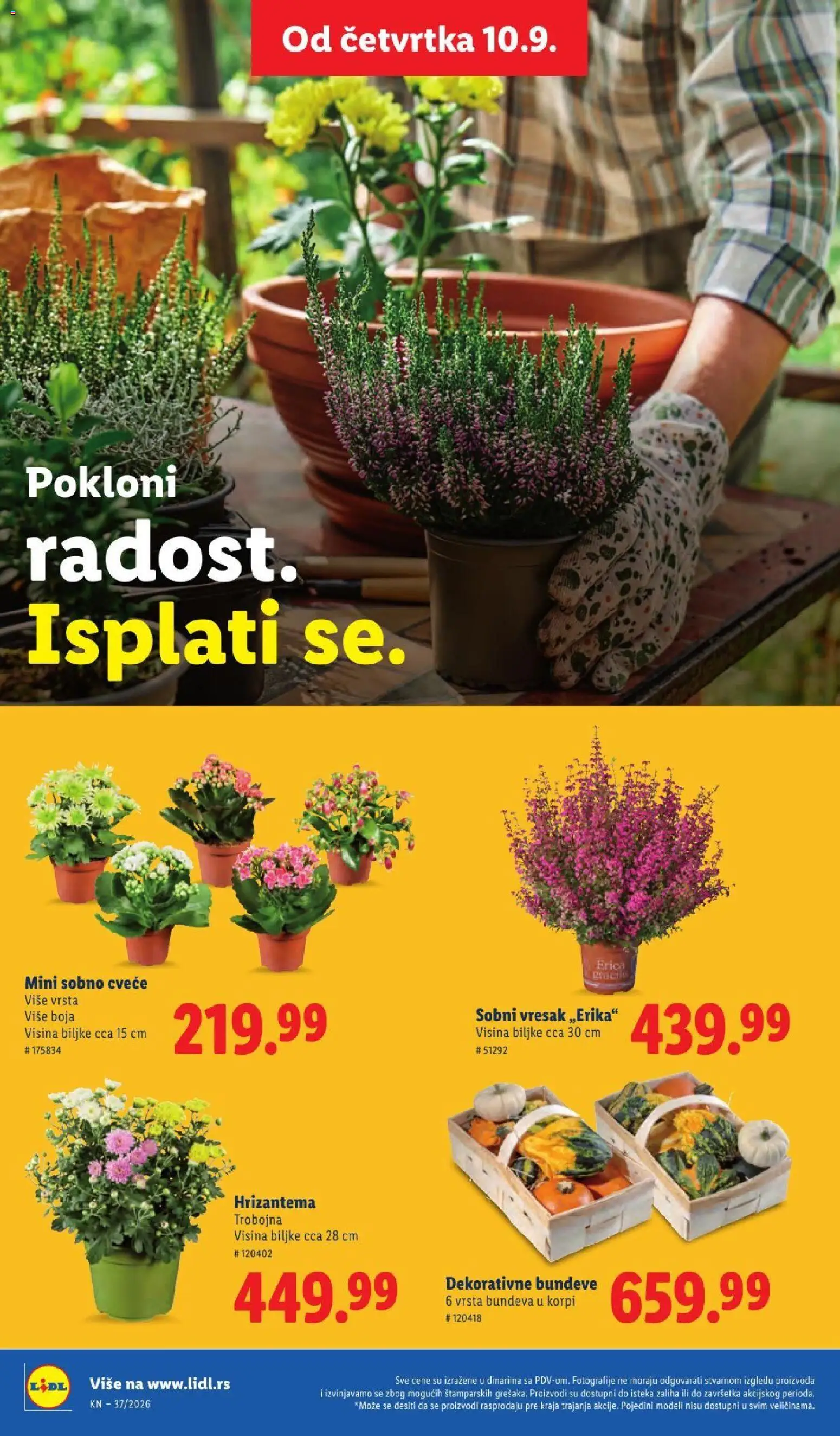 Lidl katalog - važi od 10.09.2026 | Strana: 62