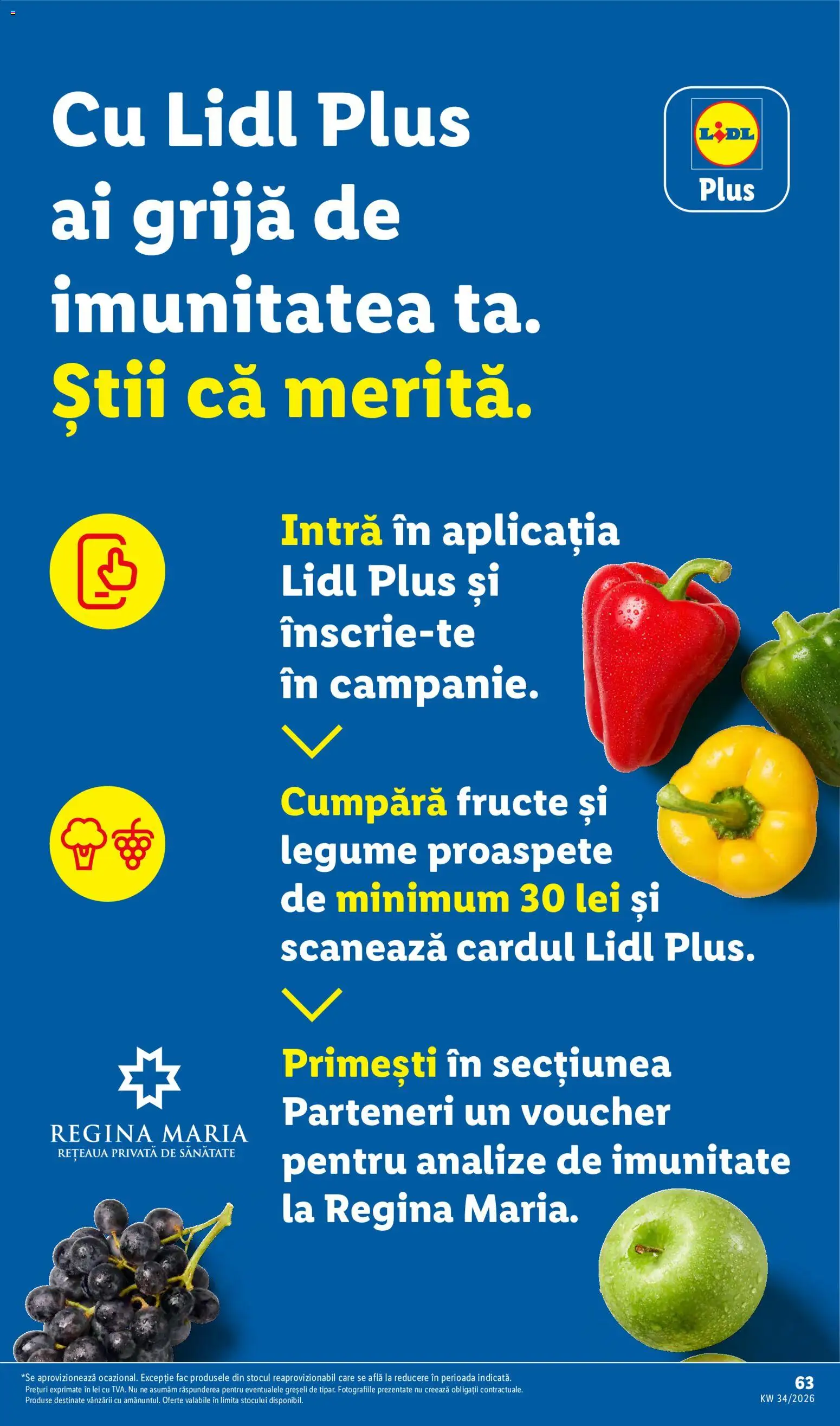 Noul catalog Lidl – valabil de la 17.08.2026 | Pagină: 63 | Produse: Regina, Legume, Fructe, Plus