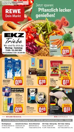 Rewe Prospekt Bottrop ab 24.08.2026 gültig