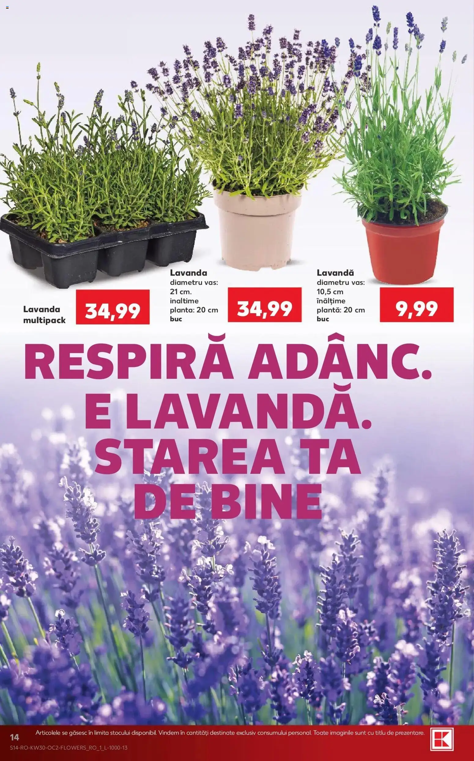 Noul catalog Kaufland – valabil de la 22.07.2026 | Pagină: 14