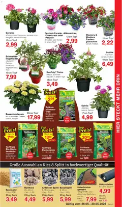 Wiglo Wunderland Prospekt ab 26.05.2026 gültig | Seite: 7 | Produkte: Pflanzerde, Geranien, Blumenerde, Kraut