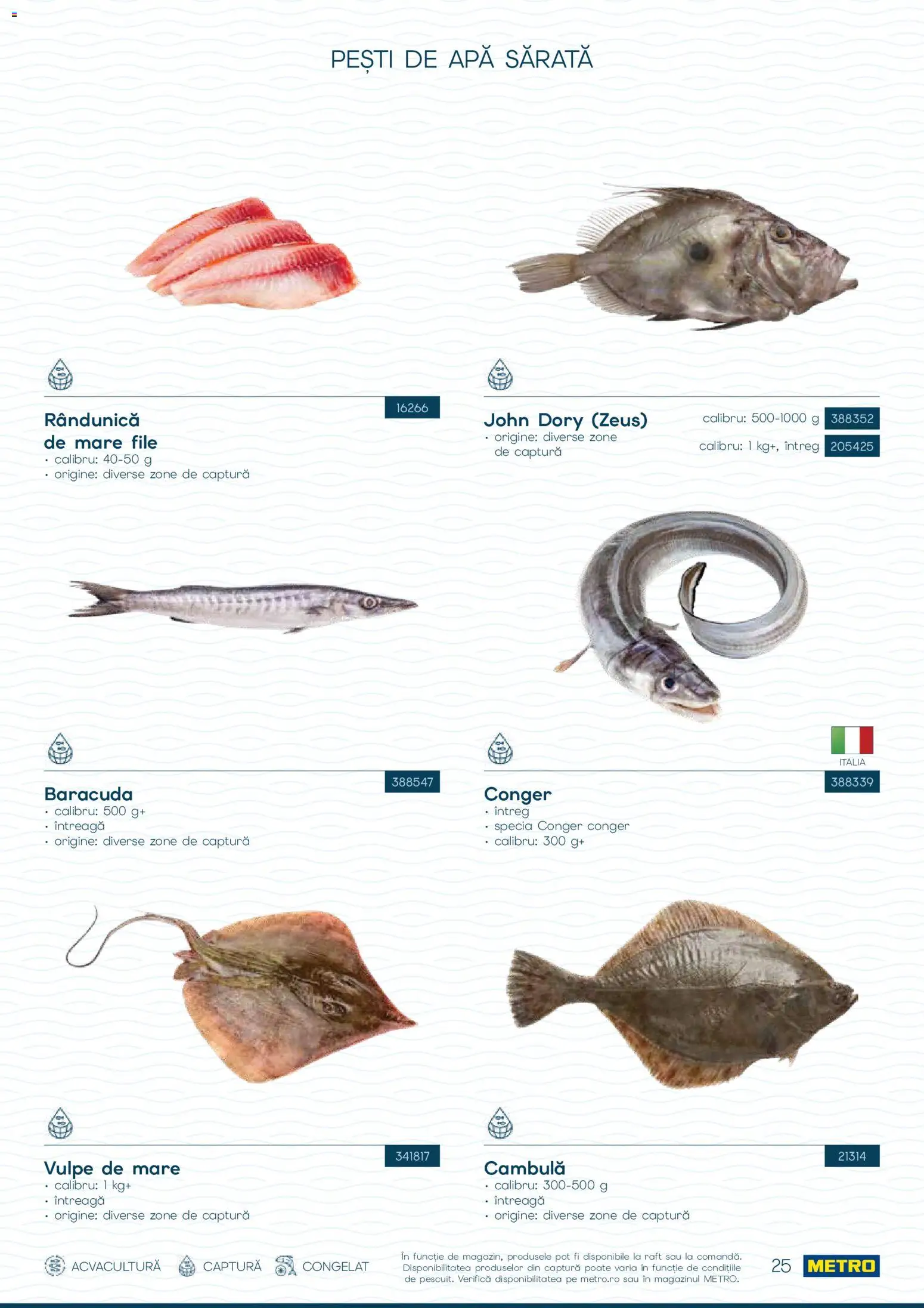 Noul catalog Metro – valabil de la 01.10.2026 | Pagină: 25 | Produse: Raft, Apă