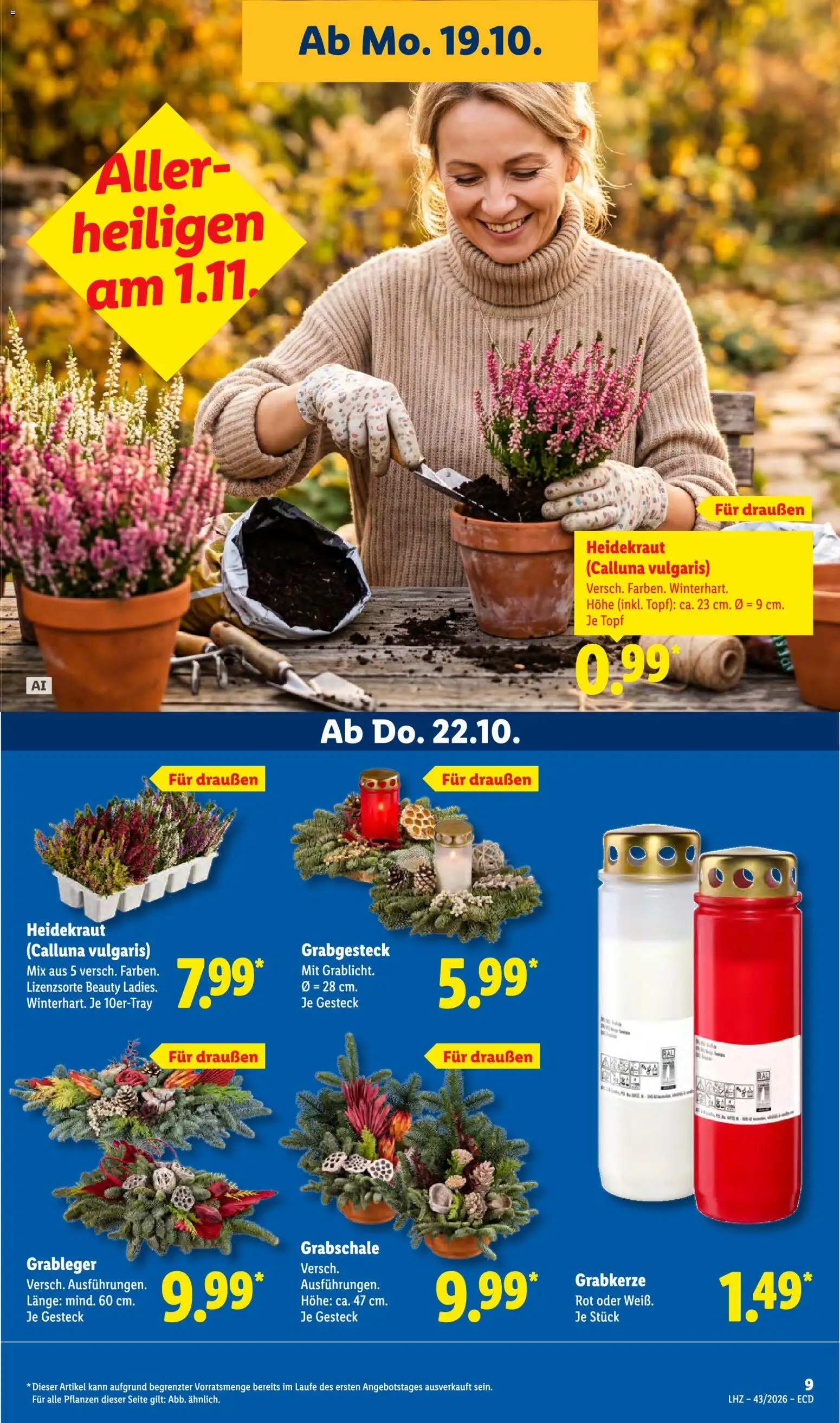 Lidl Německo leták od 19.10.2026 | Strana: 17