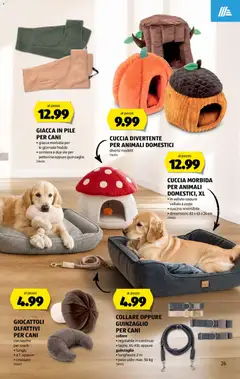 Aldi aktionen IT ab 17.09.2026 gültig | Seite: 17 | Produkte: Tasche
