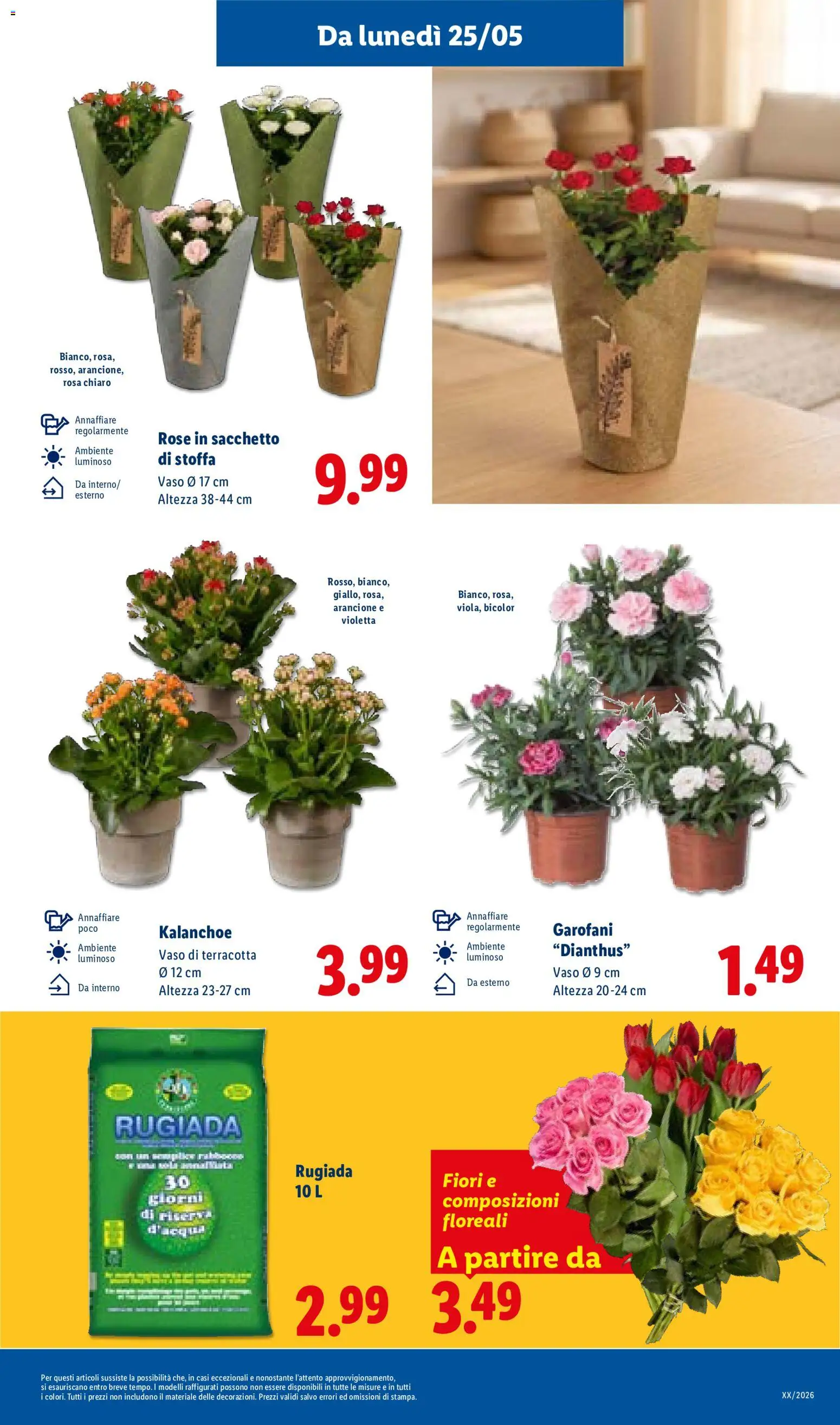 Volantino Lidl del 21.05.2026 | Pagina: 37