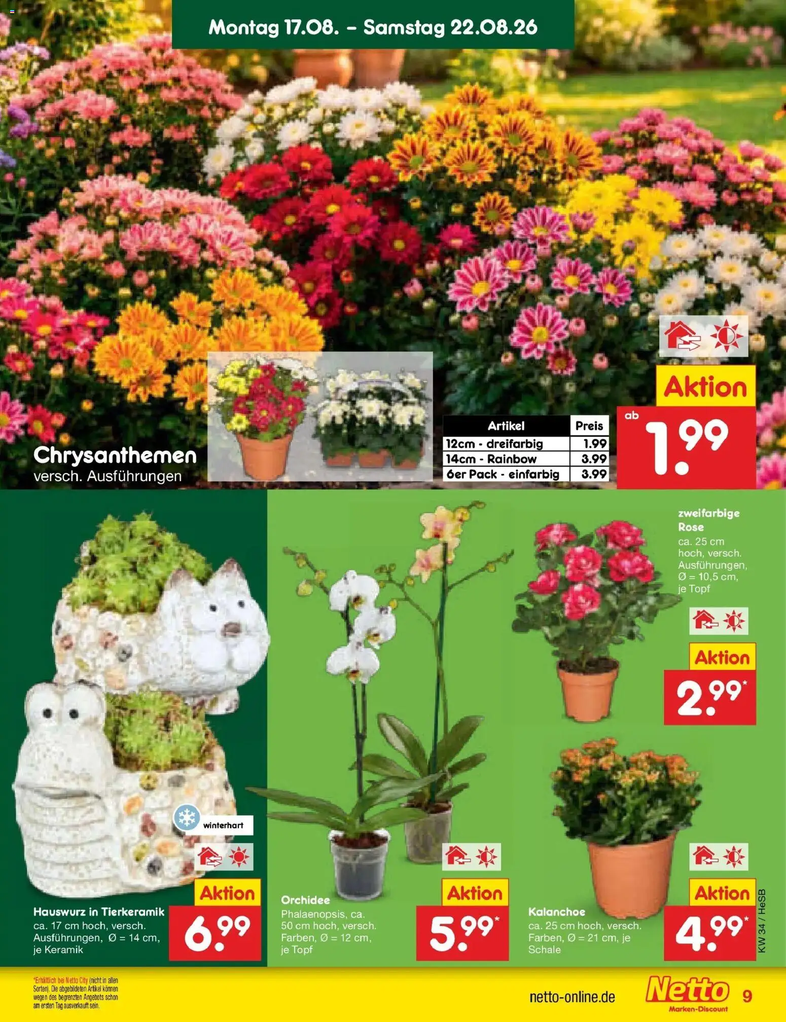 Netto Marken-Discount Prospekt Hamburg – gültig ab 17.08.2026 | Seite: 11 | Produkte: Orchidee