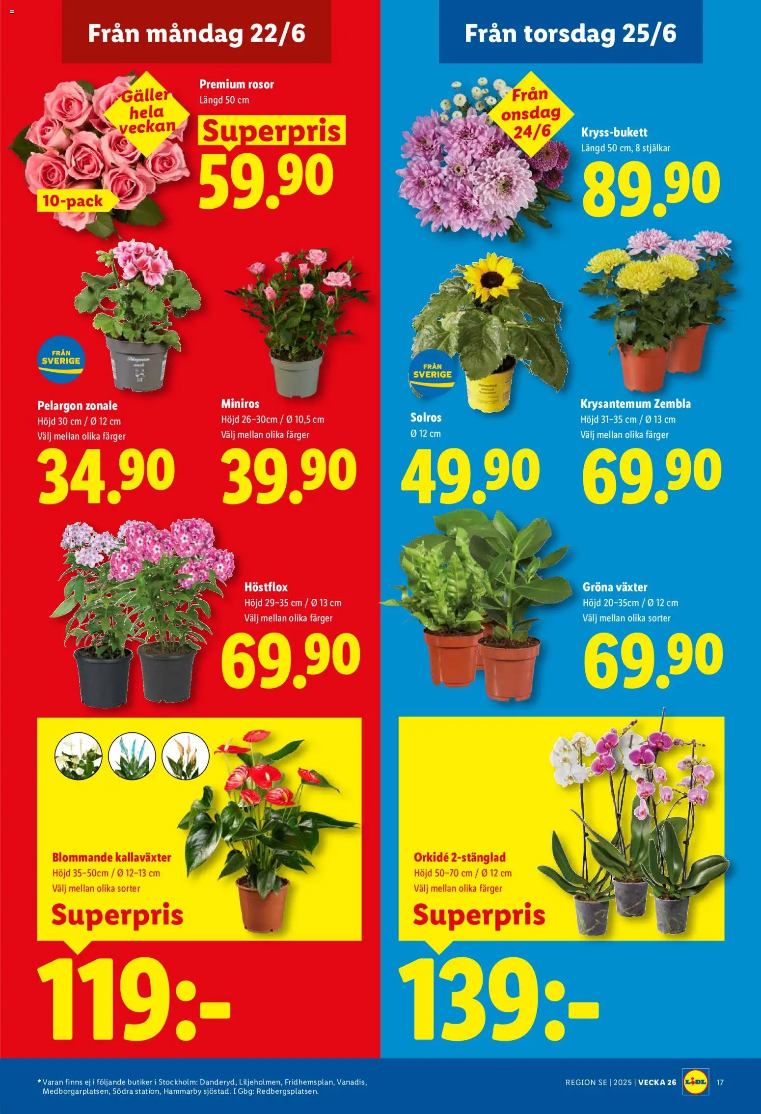 Lidl reklamblad aktuell från 22.06.2026 | Sida: 19 | Produkter: Pelargon, Galler