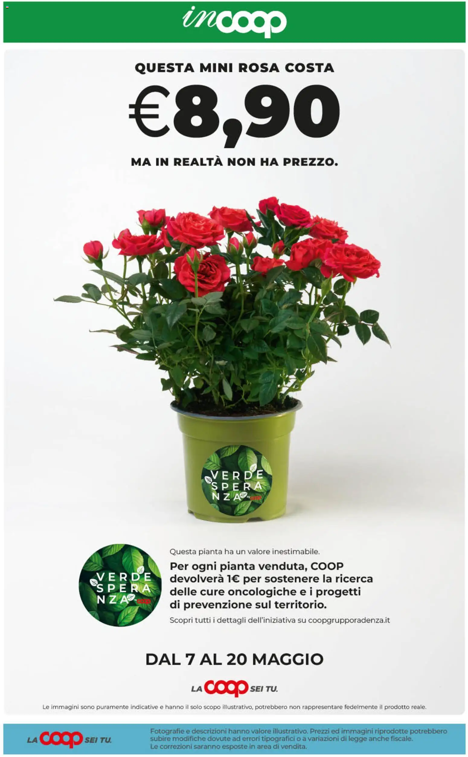 Volantino COOP del 07.05.2026 | Pagina: 33