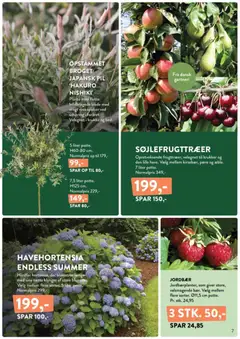 Plantorama - Smugkig avisen gyldig fra 08.05.2026 | Side: 7 | Produkter: Jordbær, Krukke, Søm