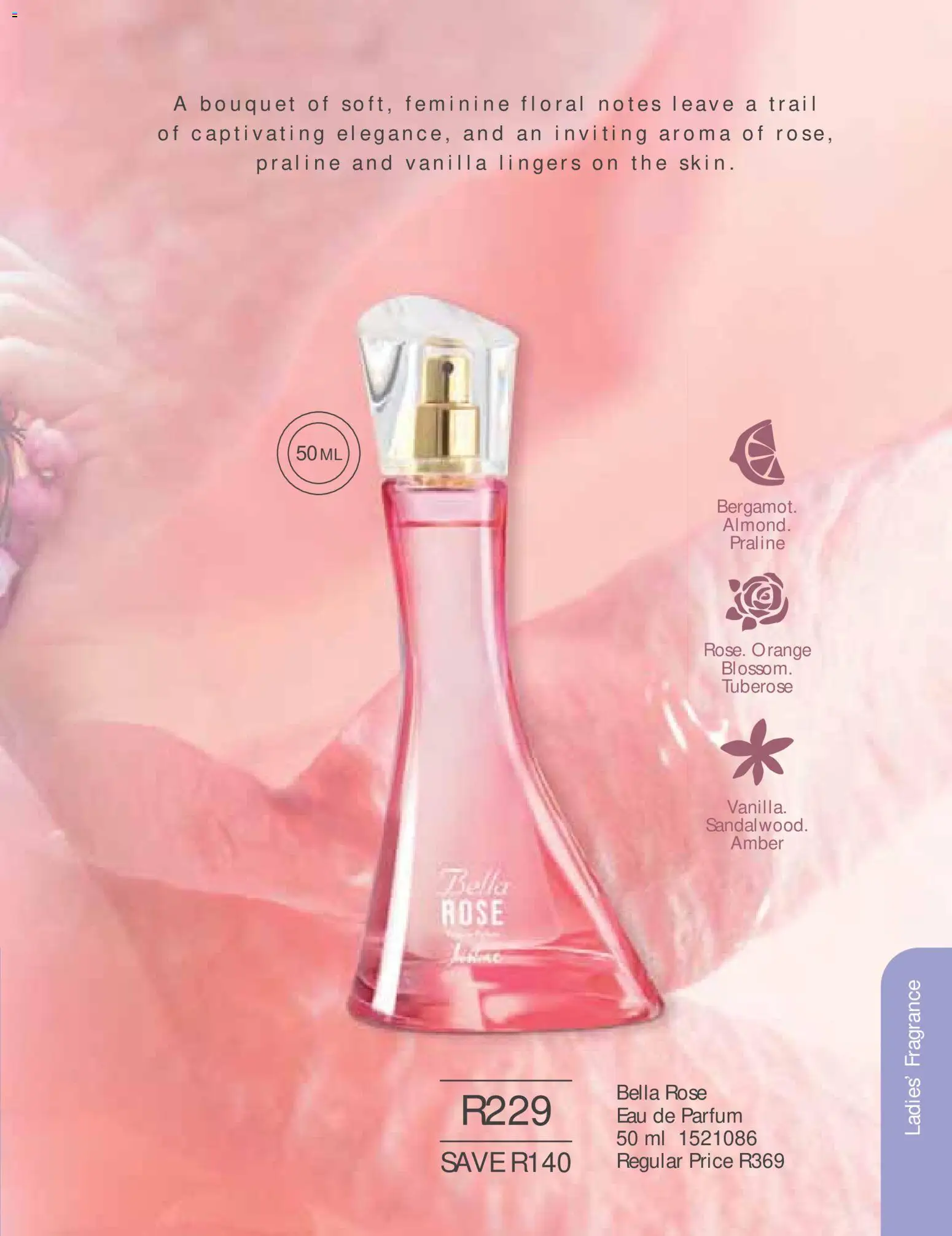 New Justine catalogue – valid from 01/07/2026 | Page: 115