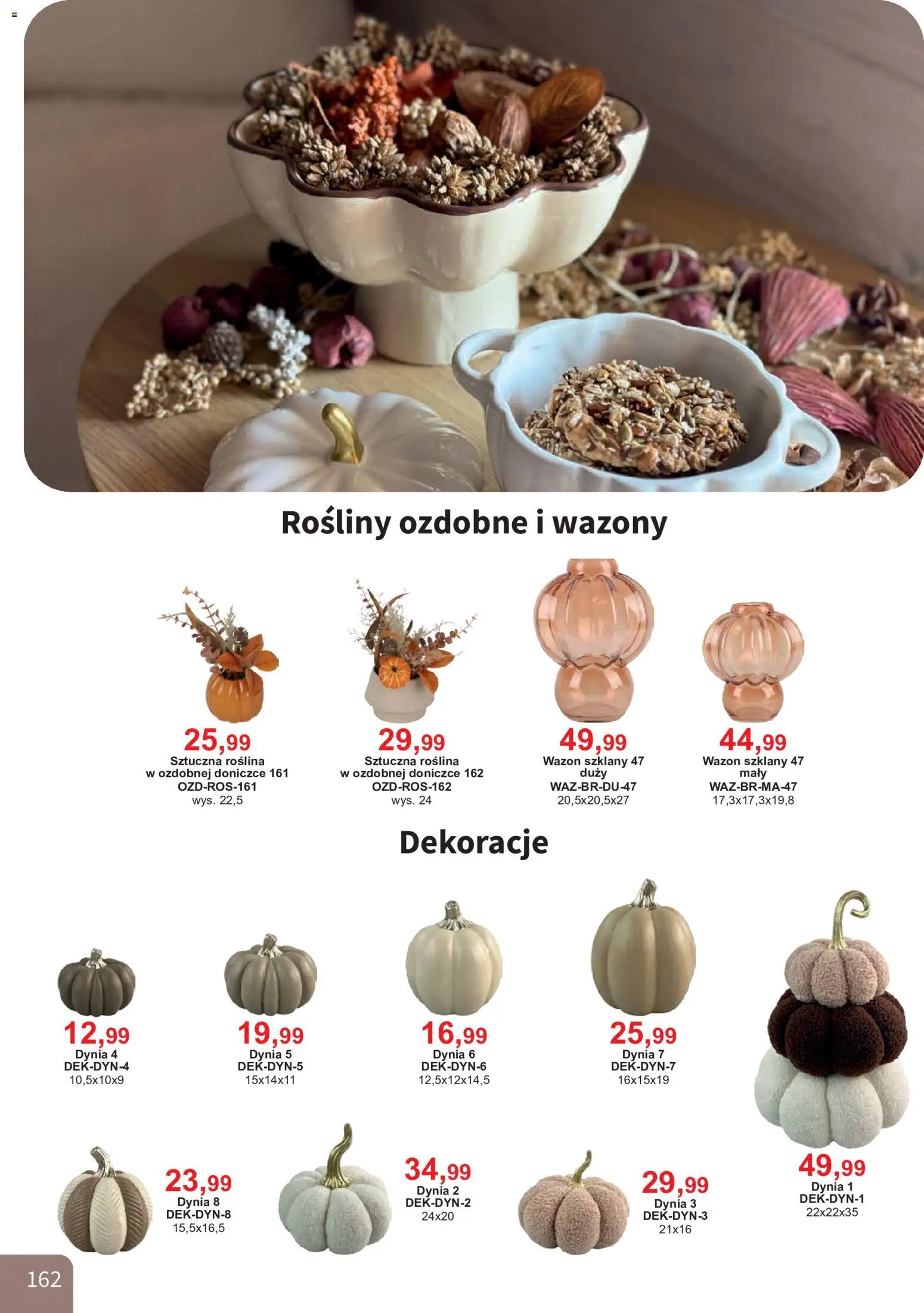 Bodzio Katalog od 01.08.2026 | Strona: 162 | Produkty: Dynia, Wazon, Rosliny