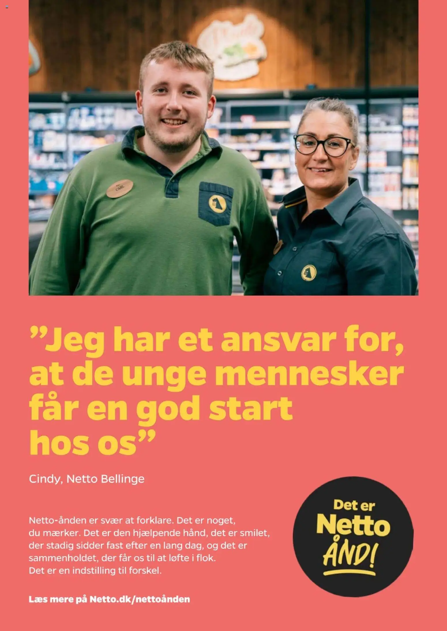 Netto tilbudsavis – gyldig fra 26/09/2026 | Side: 31