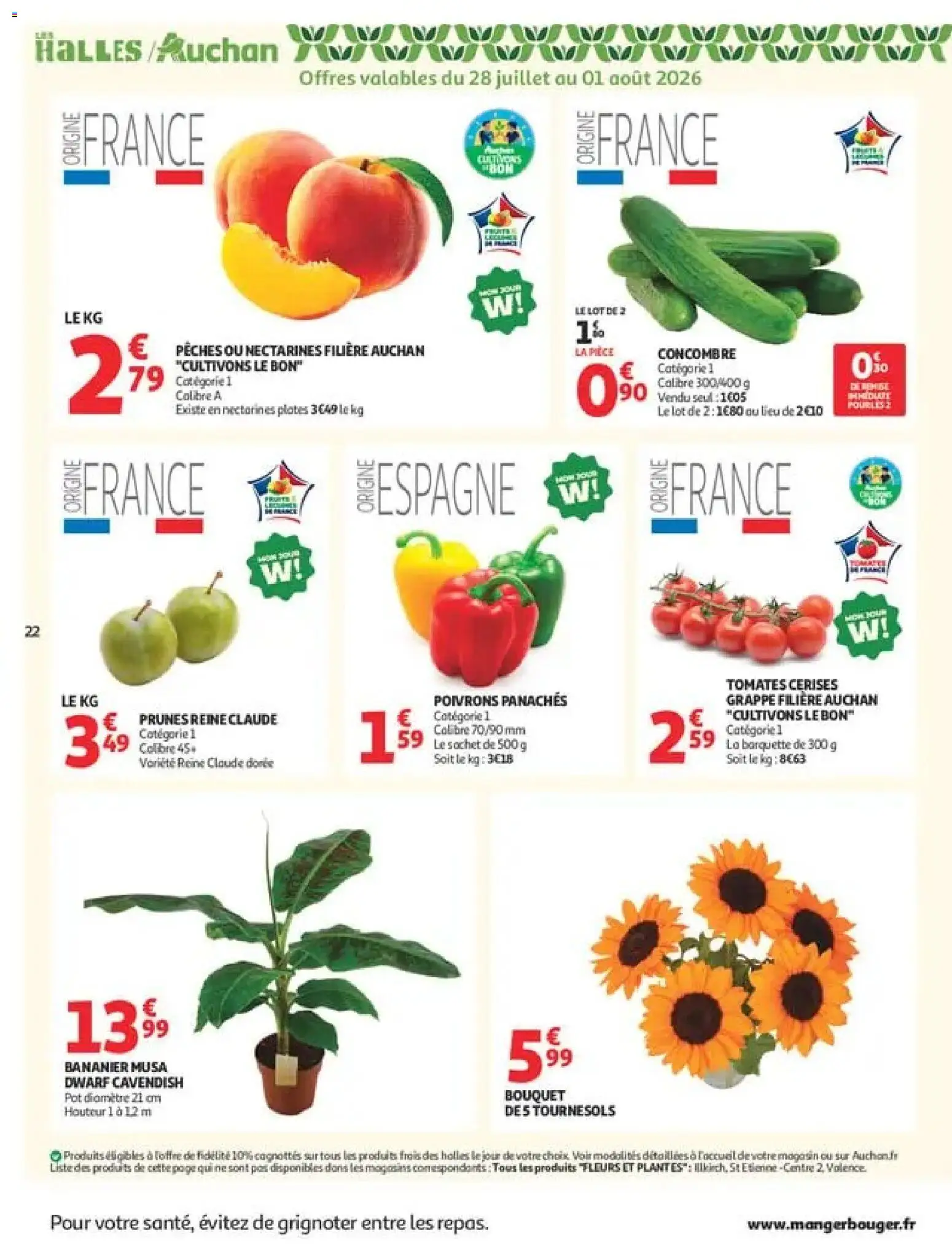 {H1} | Page: 22 | Produits: Poivrons, Fleurs, Prunes, Fleurs et plantes