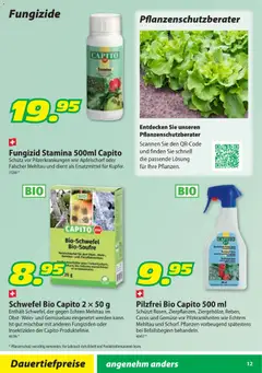 Landi Aktionen Capito ab 28.01.2026 gültig | Seite: 12 | Produkte: Wein, Gemüse