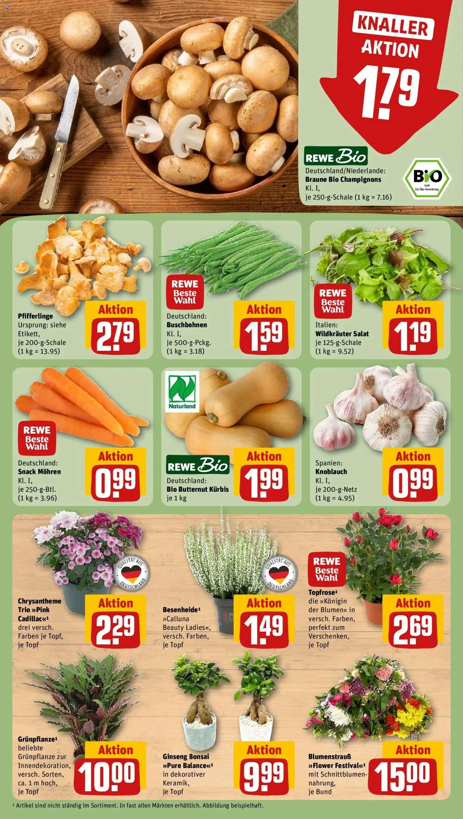 REWE Prospekt ab 31.08.2026 zum Blättern » Angebote | Seite: 7 | Produkte: Mohren, Champignons, Pfifferlinge, Salat