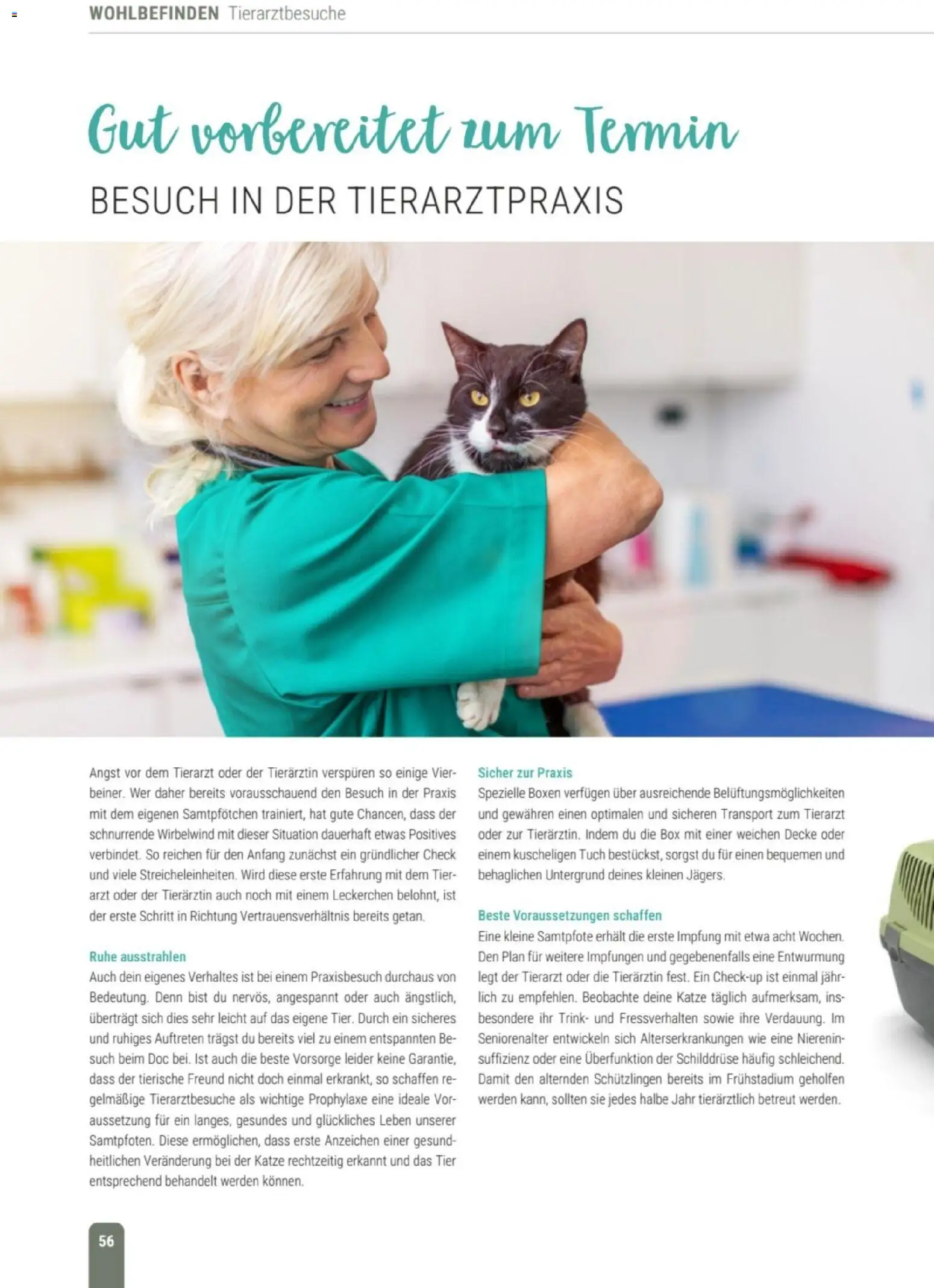 zookauf Themenkatalog Katze – gültig ab 01.10.2026 | Seite: 56 | Produkte: Decke, Box