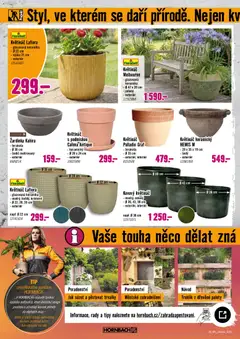 Náhled letáku HORNBACH leták - Trvalky od 06.05.2026 | Strana: 6