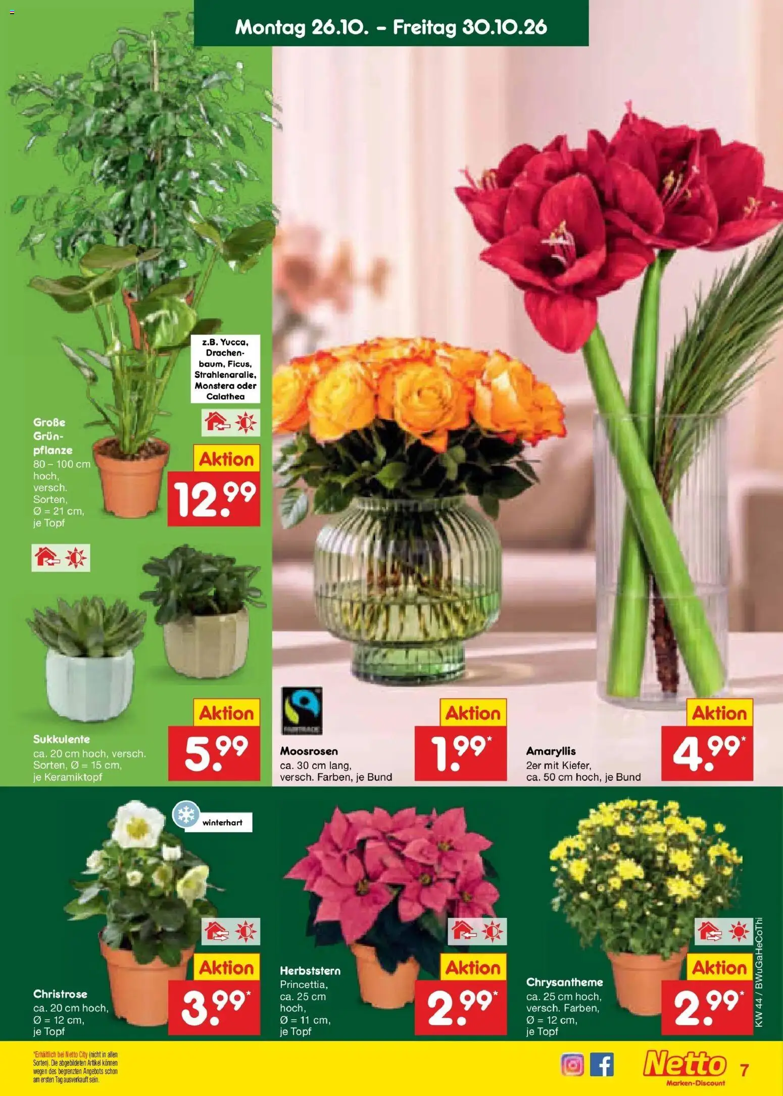 Netto Marken-Discount Prospekt Bielefeld – gültig ab 26.10.2026 | Seite: 9