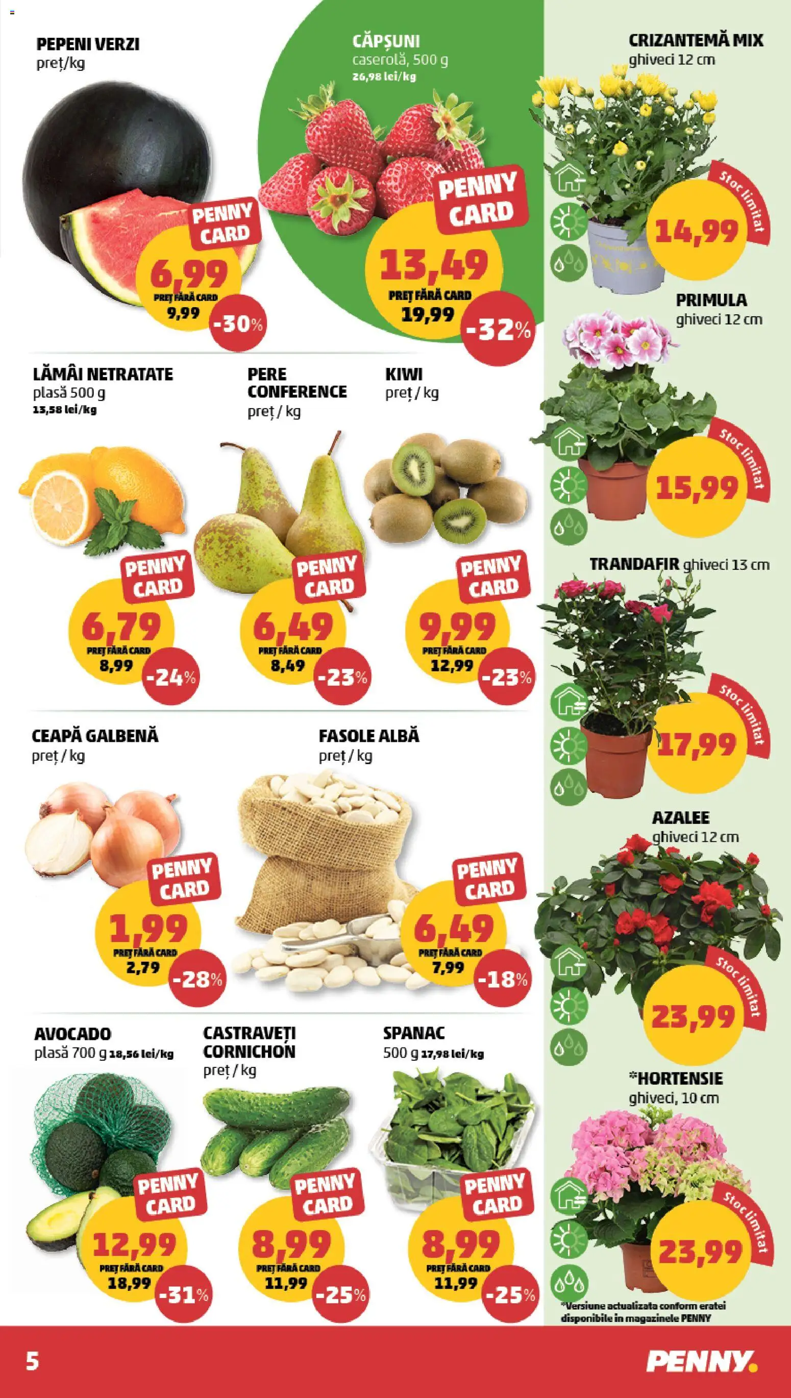 Noul catalog PENNY – valabil de la 25.03.2026 | Pagină: 5 | Produse: Kiwi, Castraveți, Fasole albă, Ceapă