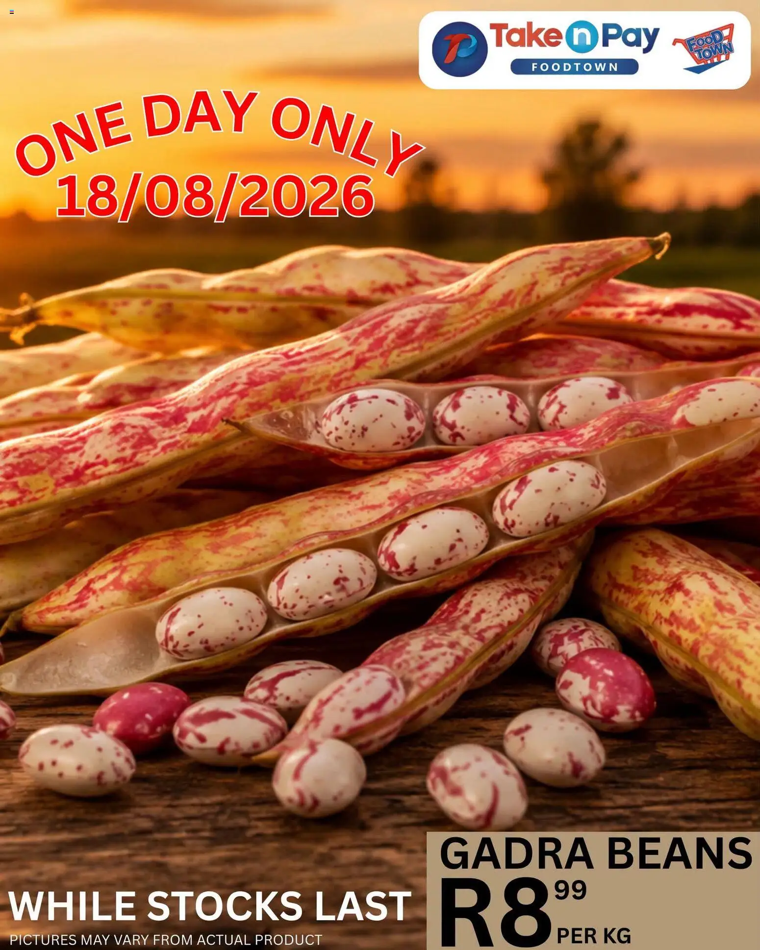 New Take n Pay catalogue – valid from 18/08/2026 | Page: 1 | Products: Beans