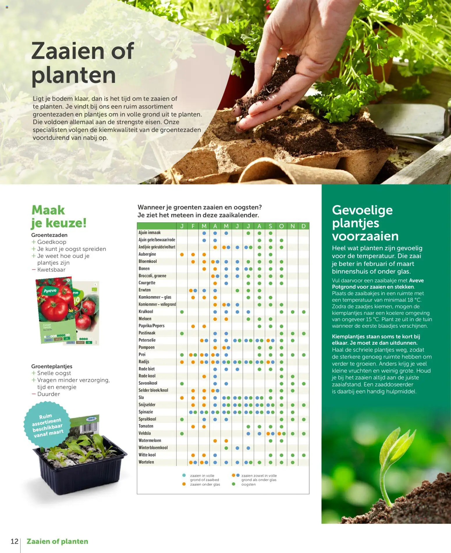 {H1} | Pagina: 12 | Producten: Prei, Kész piskótalap, Wortelen, Courgette
