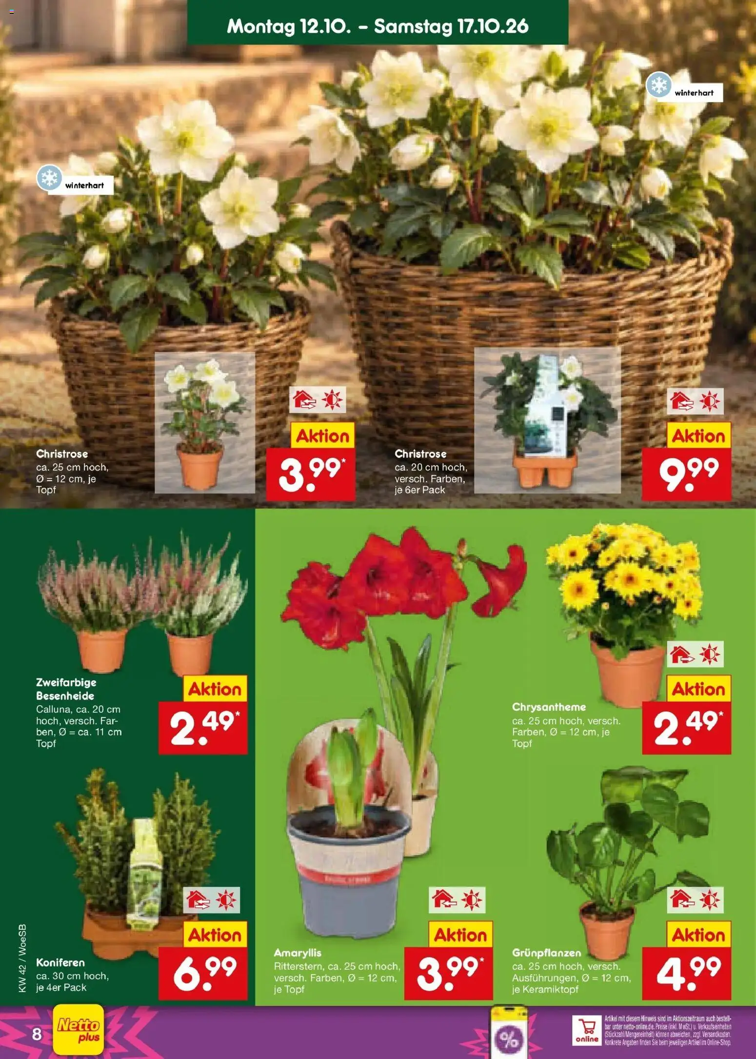 Netto Marken-Discount Prospekt Gemmingen (ab 12.10.2026) » Angebote | Seite: 10