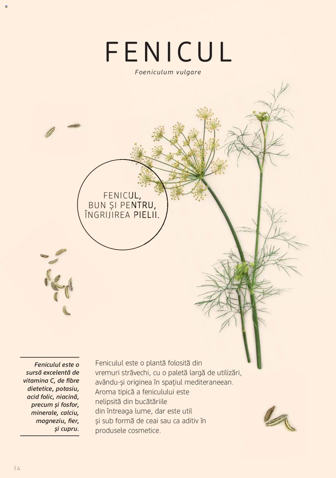 Noul catalog DM drogeriemarkt – valabil de la 01.01.2022 | Pagină: 14