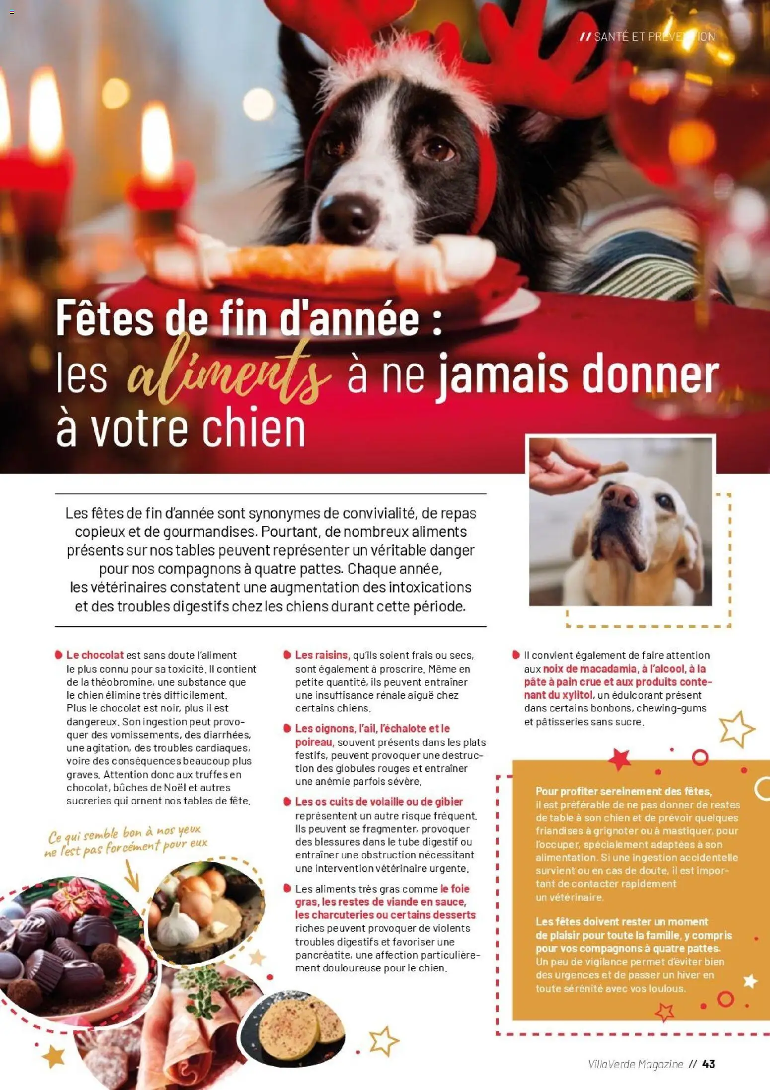 {H1} | Page: 43 | Produits: Digestif, Édulcorant, Aliments, Magazine