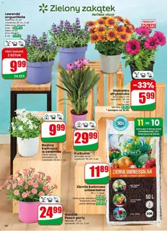 Pogląd oferty "Ziemia uniwersalna, dla roślin ozdobnych i warzyw, 50 L" - ważna od 13.05.2026 | Strona: 60