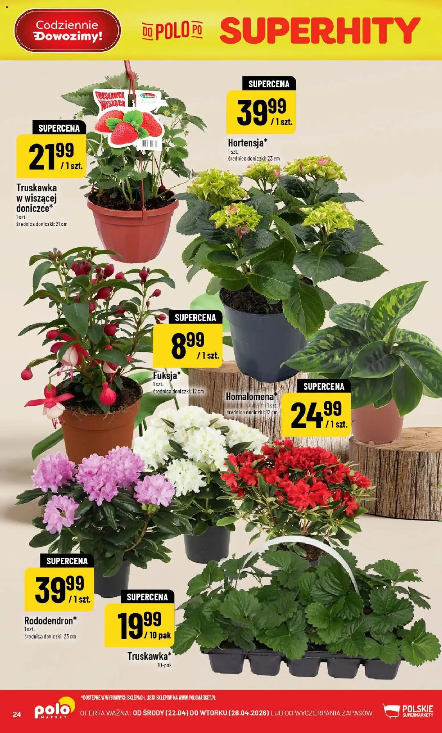 POLOmarket gazetka od 22.04.2026 | Strona: 24 | Produkty: Doniczki