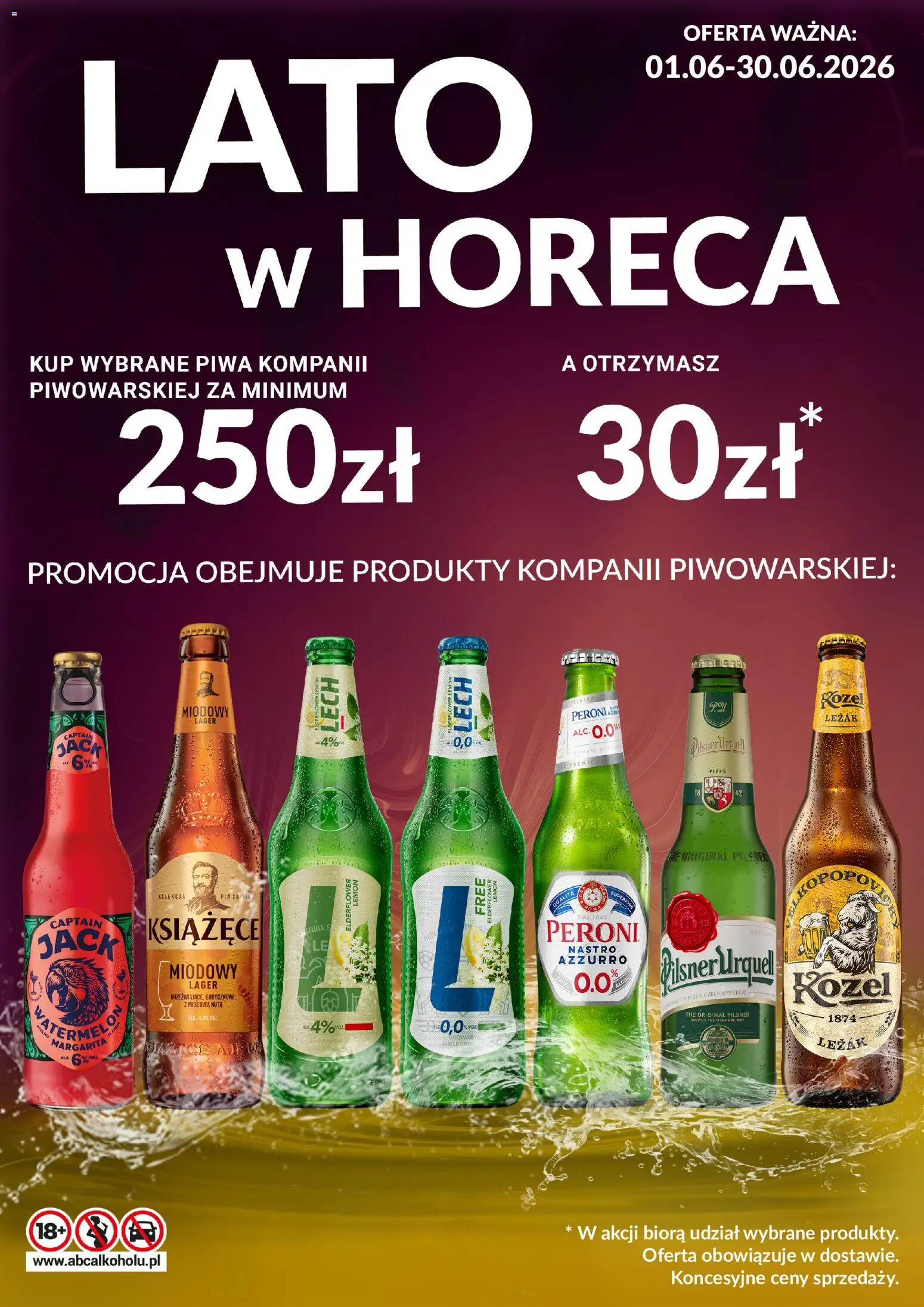 Makro gazetka - Kompania Piwowarska od 01.06.2026 | Strona: 1 | Produkty: Leżak