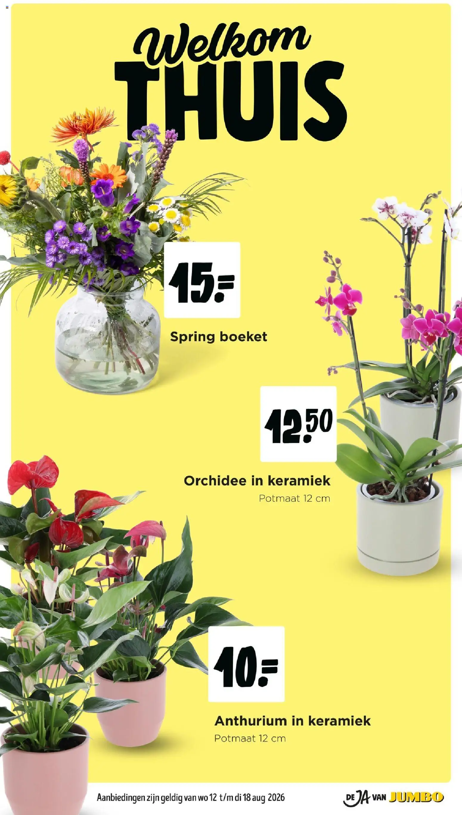 {H1} | Pagina: 27 | Producten: Orchidee, Keramiek