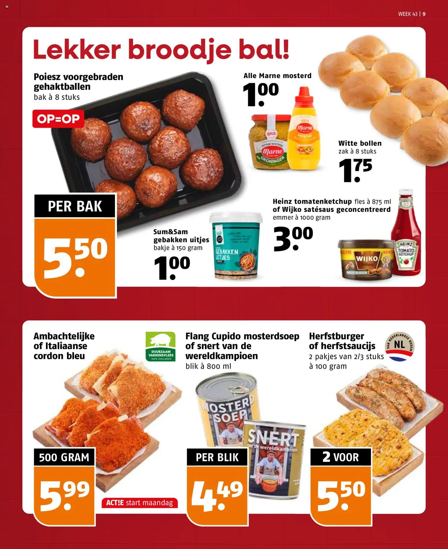 {H1} | Pagina: 9 | Producten: Ketchup, Fles, Zak, Bal