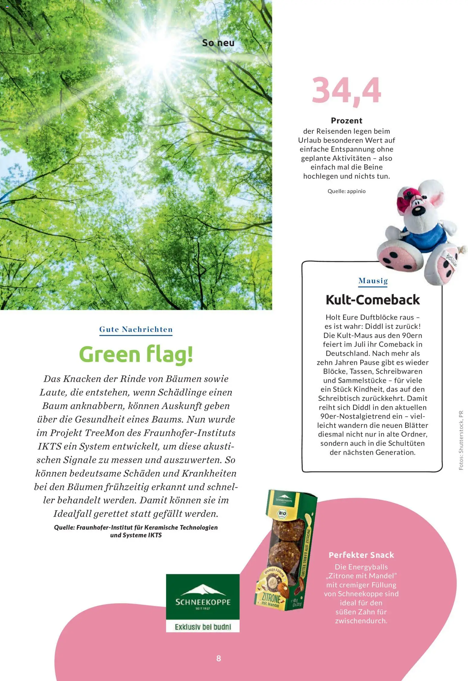 Budni Perle Magazin 04/26 – gültig ab 09.07.2026 | Seite: 8 | Produkte: Zitrone, Dattel