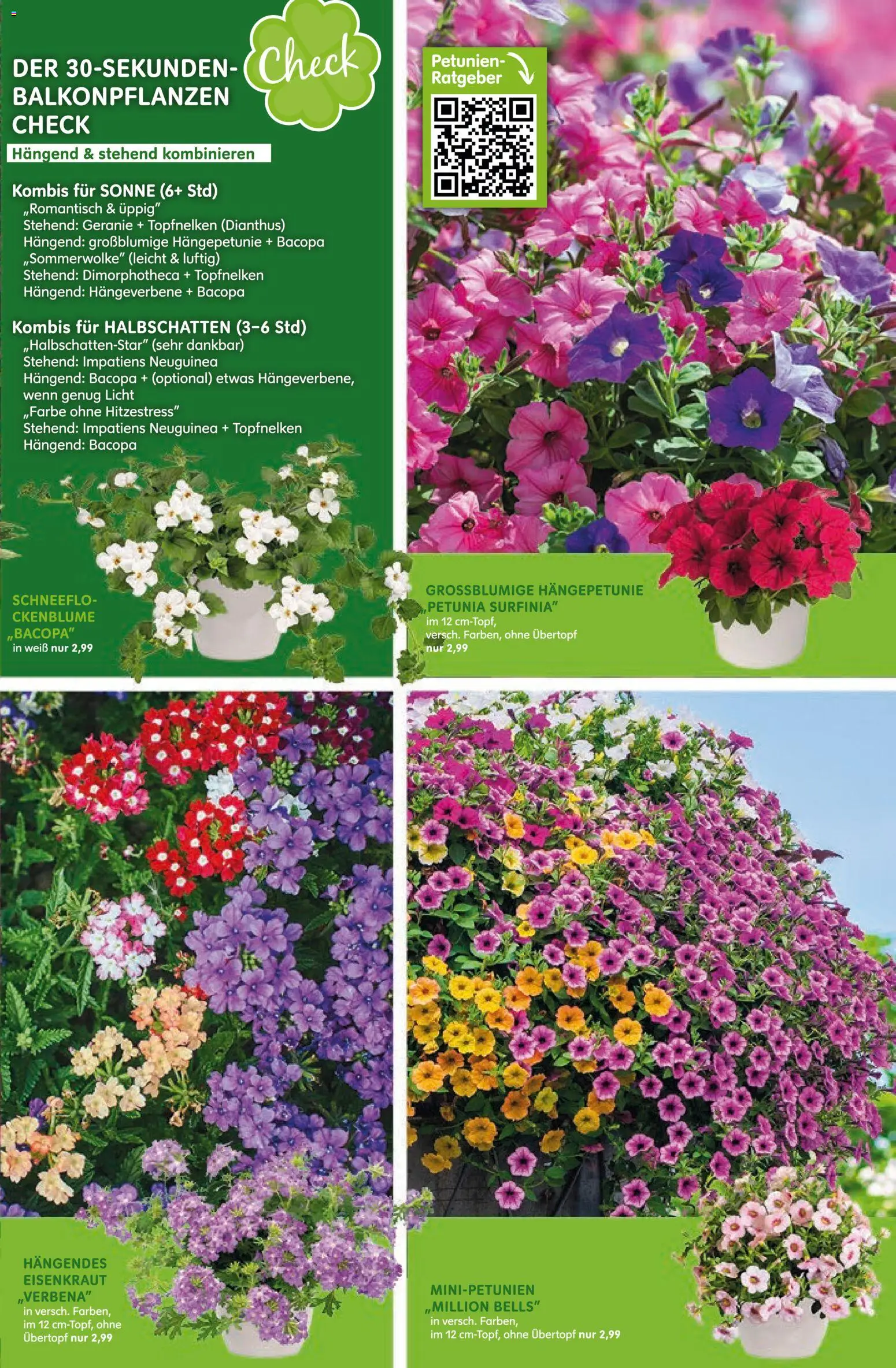 Blumen Risse Prospekt Blumenmarkt – gültig ab 28.05.2026 | Seite: 5