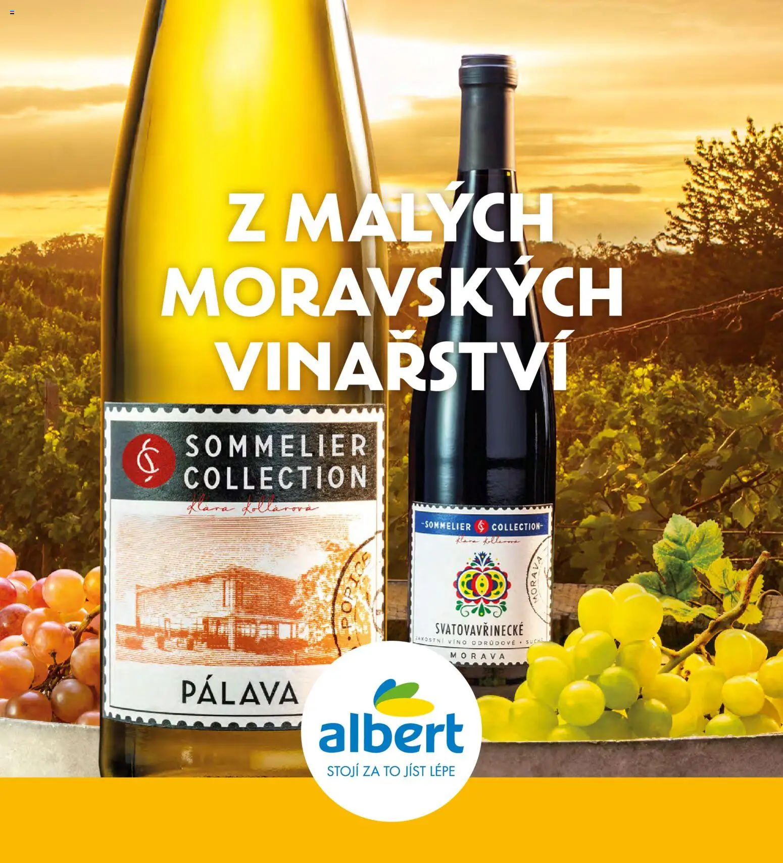 Albert magazín od 01.07.2026 | Strana: 33 | Produkty: Bílé víno, Víno, Červené víno