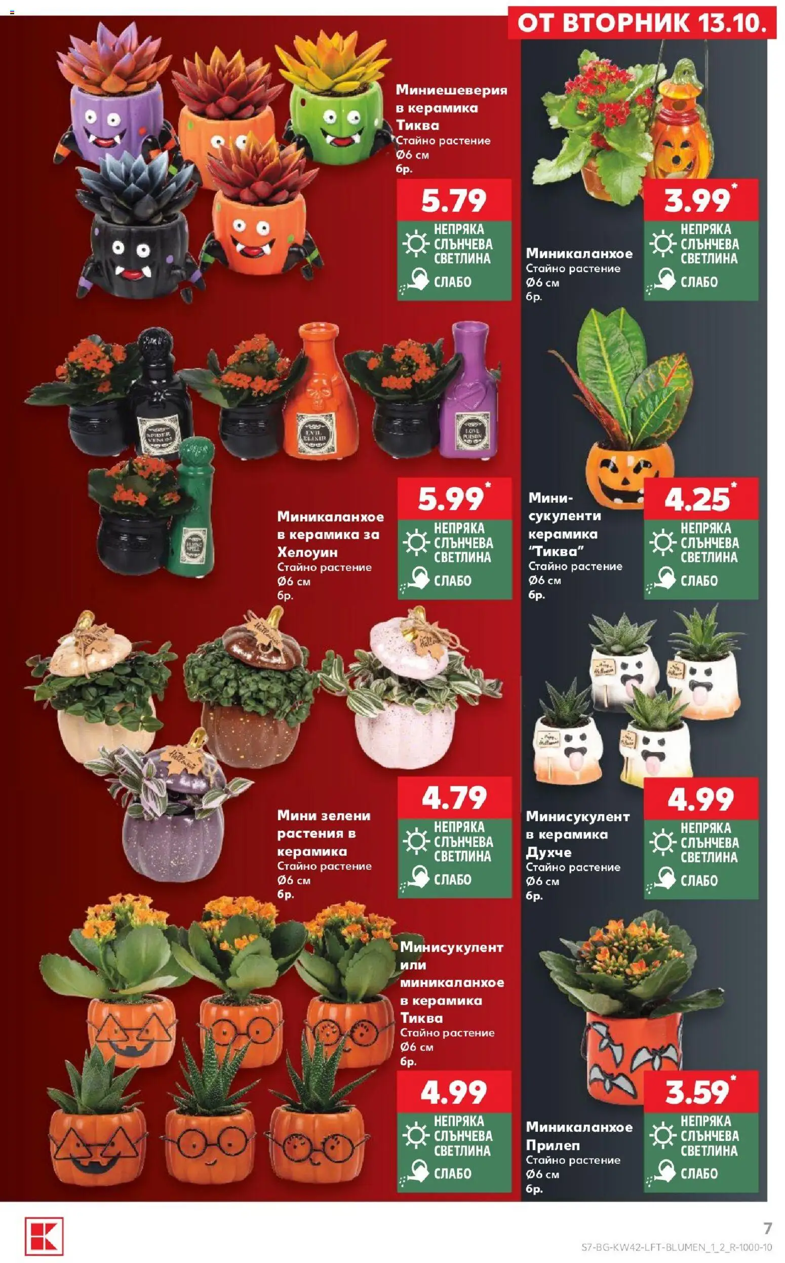 {H1} | Страница: 7 | Продукти: Тиква