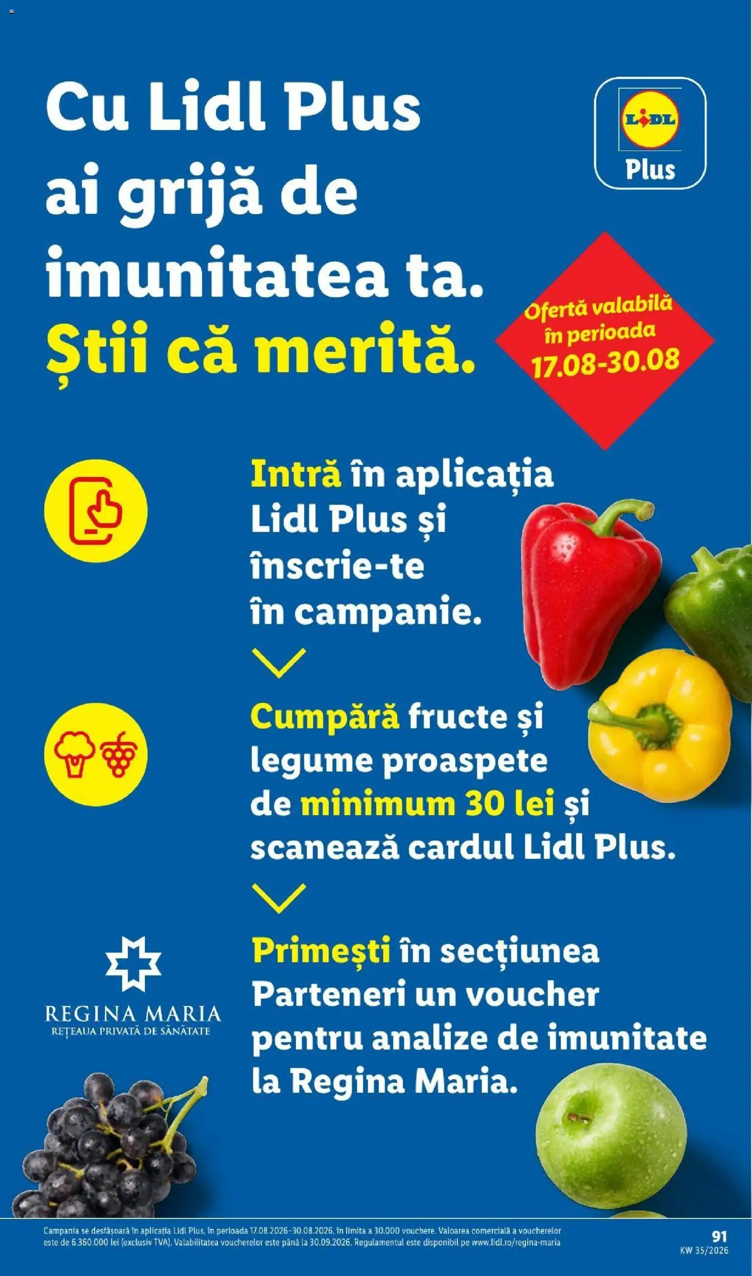 Noul catalog Lidl – valabil de la 24.08.2026 | Pagină: 91 | Produse: Struguri, Apple, Legume, Fructe