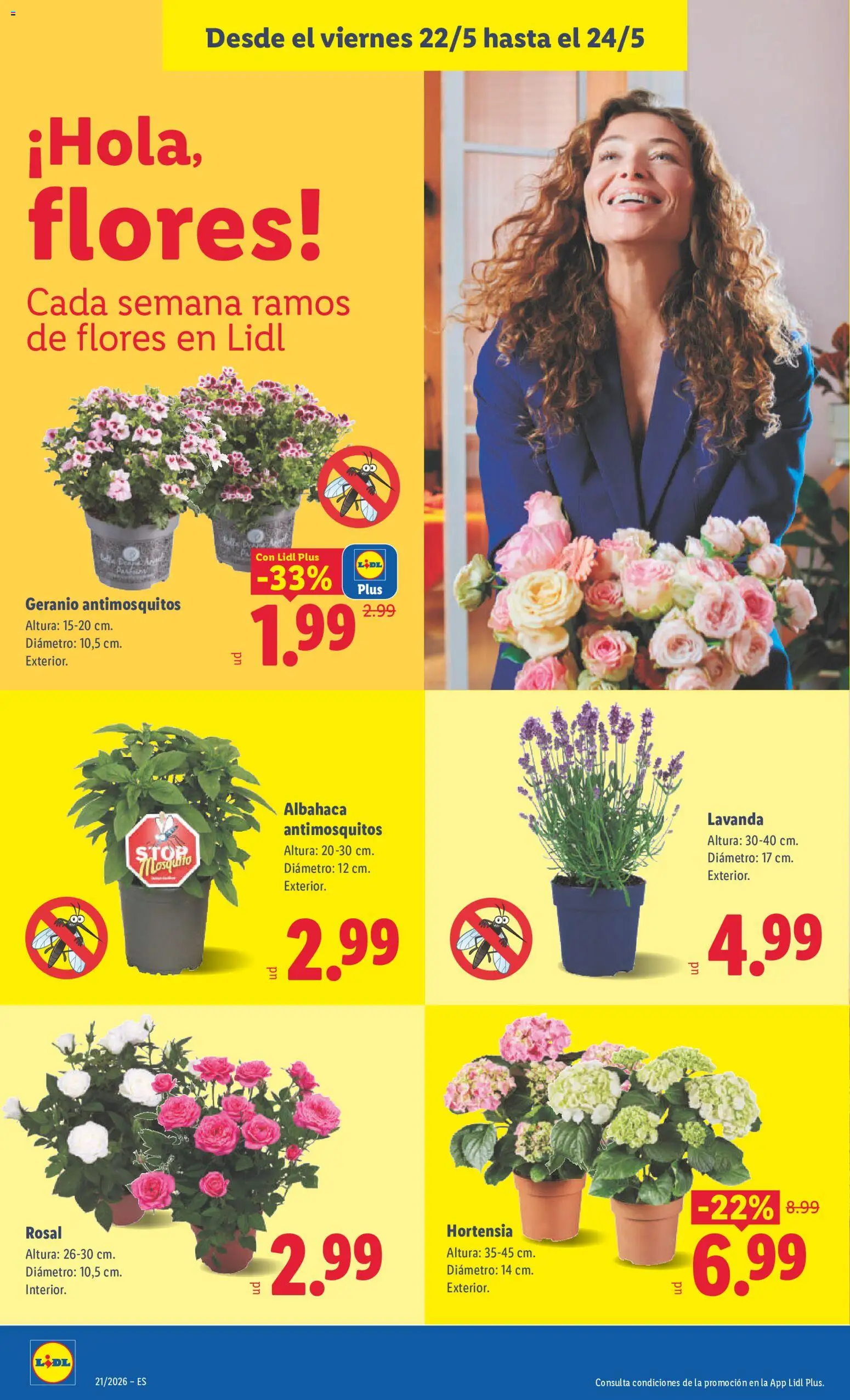 Lidl folleto │ válido desde el 18.05.2026 | Página: 46