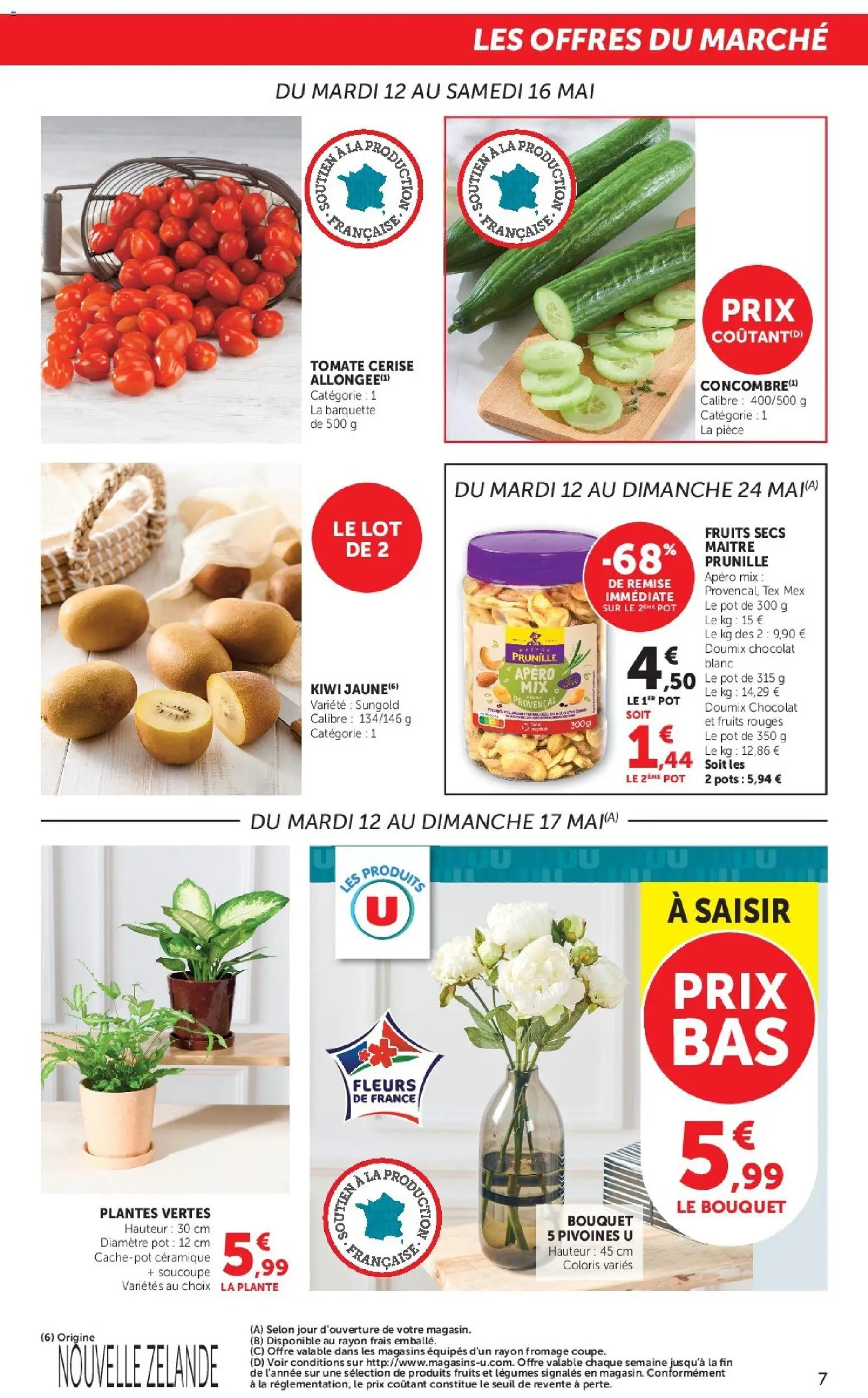 {H1} | Page: 7